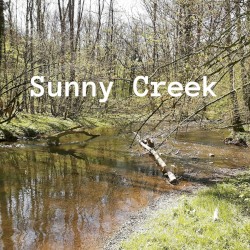 Sunny Creek