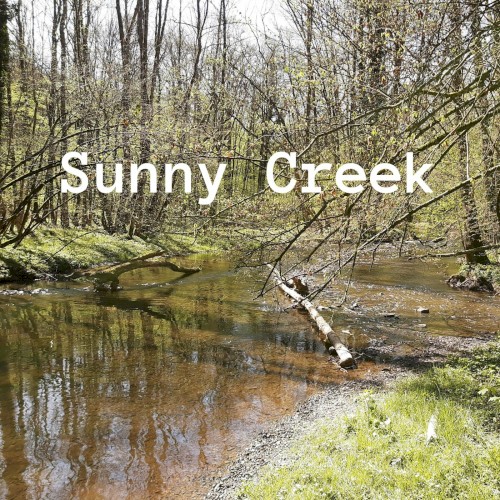 Sunny Creek