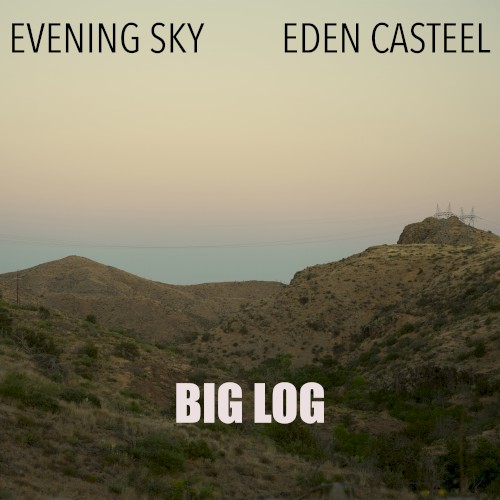 Big Log
