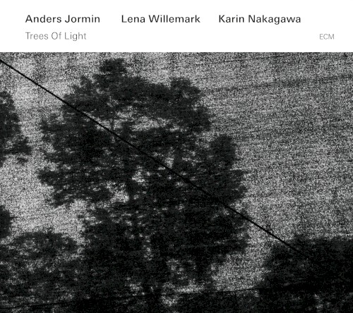 Trees of Light