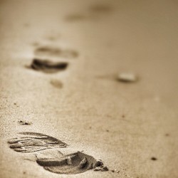 Gone