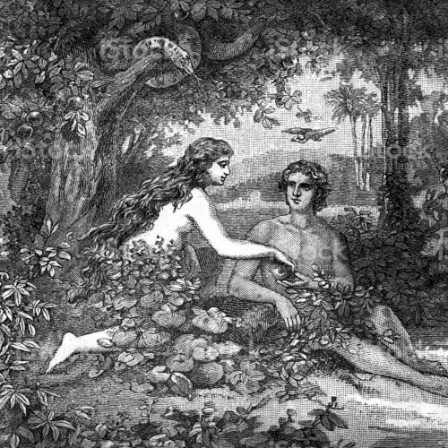 eve