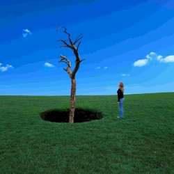 Green Grass Grows