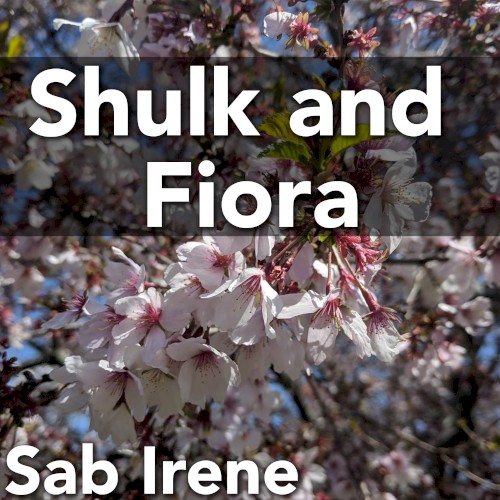 Shulk and Fiora (From “Xenoblade Chronicles”) [Cover Version]