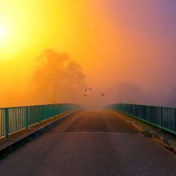 Out of Golden Light