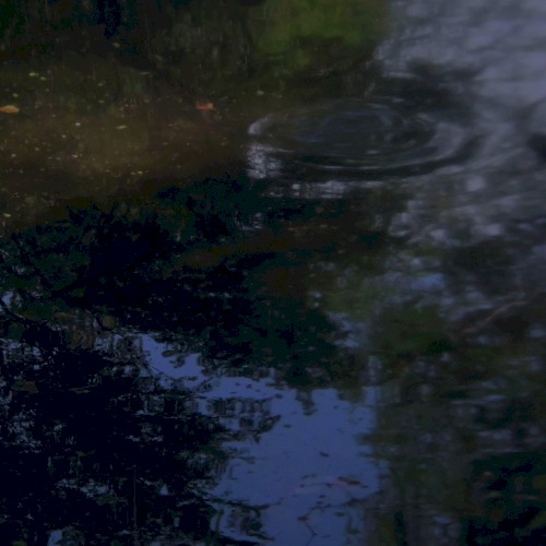 Gleam