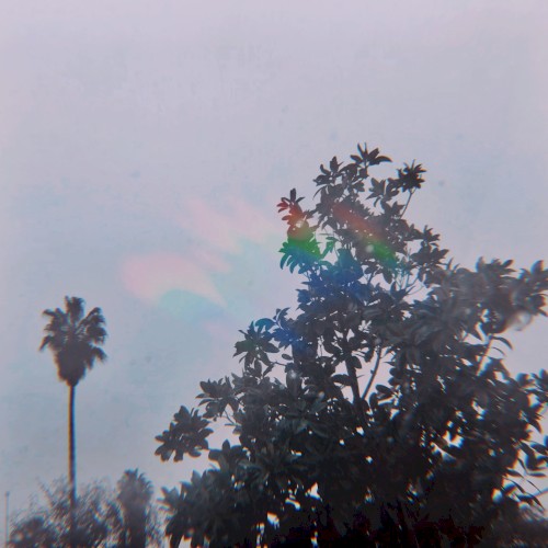 Acid Rain