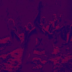 Acid Guru Pond