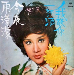 今夜雨濛濛 / 我敬你一杯酒