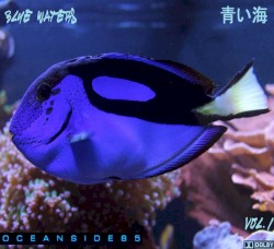 Blue Waters, Vol.1