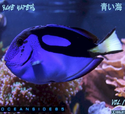 Blue Waters, Vol.1