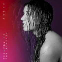 Trampoline: The Remixes