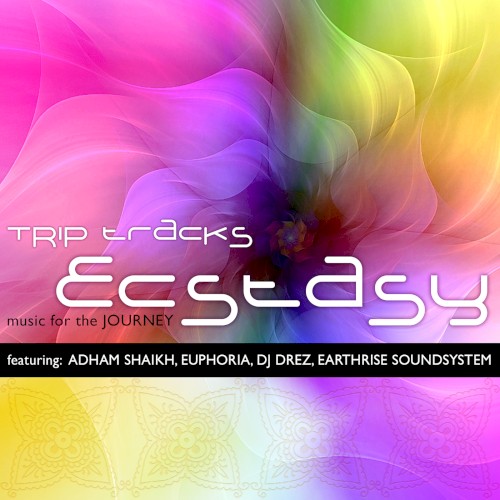 Trip Tracks Ecstasy: Music for the Journey