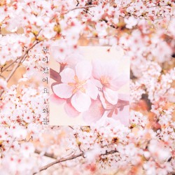 springtime