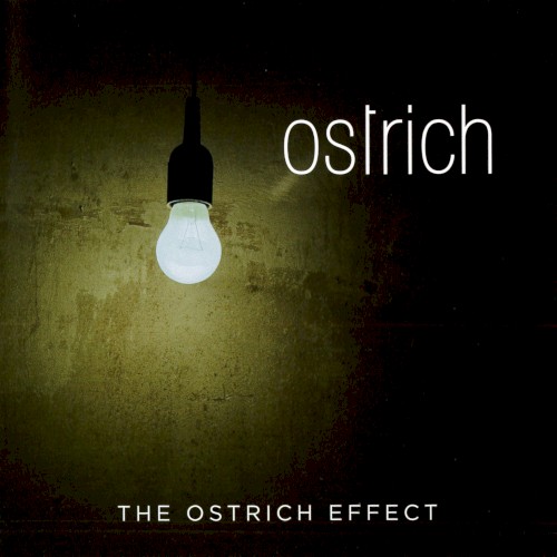 The Ostrich Effect