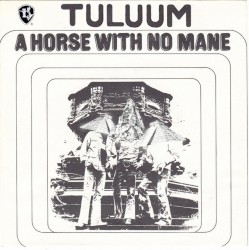 A Horse With No Name