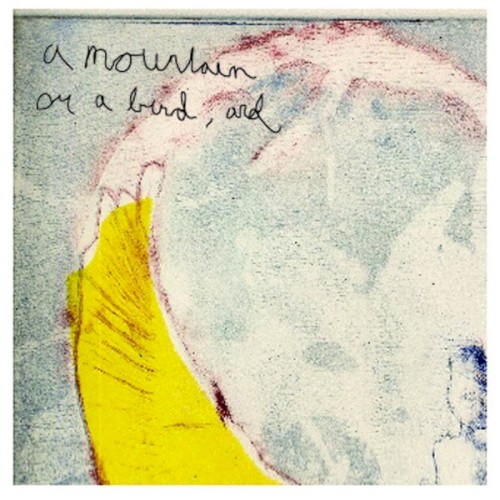 A Mountain or a Bird, and