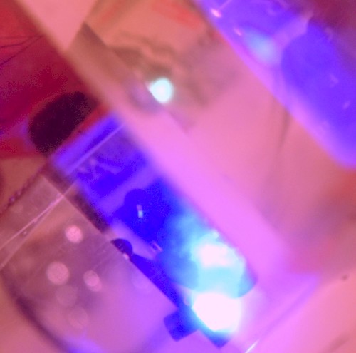 Melting Sequence