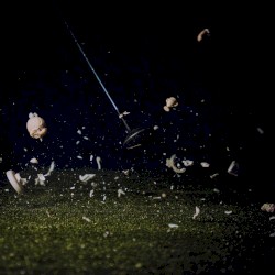 The Golfer