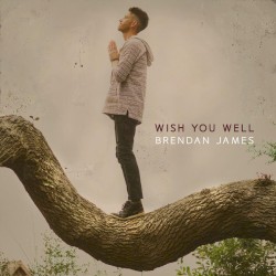 Wish You Well