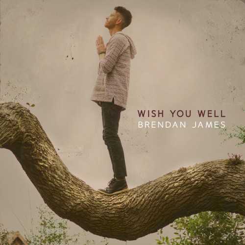 Wish You Well