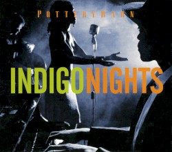 Pottery Barn Indigo Nights