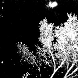 Soundtracks for Invisibility Vol. IV: Photo of a Painting