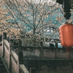 冬の色