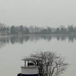 Fog on the Treeline
