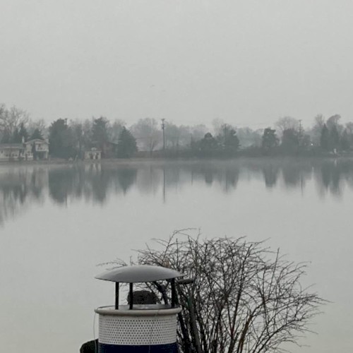 Fog on the Treeline