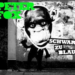 Schwarz zu Blau