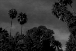 The Battle of Cahuenga