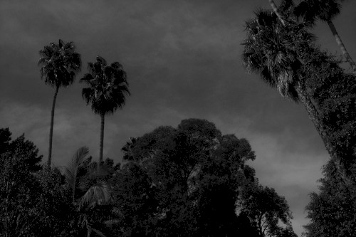 The Battle of Cahuenga