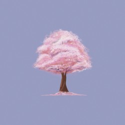 Cherry Tree