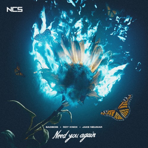 Need You Again