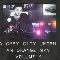 A Grey City Under an Orange Sky 09