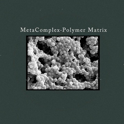 Polymer Matrix