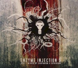 Enzyme Injection 5