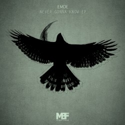 Never Gonna Know EP