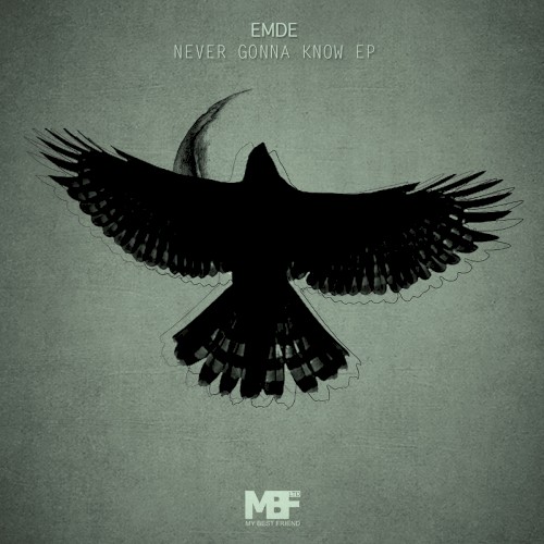 Never Gonna Know EP