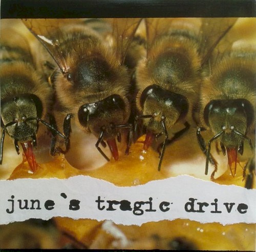 June's Tragic Drive