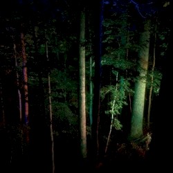 Searchlight Casting
