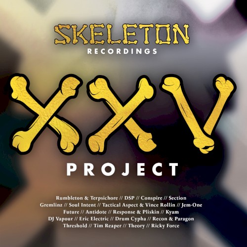 Skeleton XXV Project
