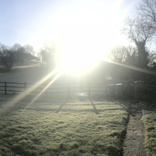 Sunshine 2