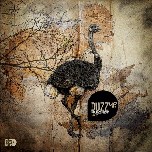 DuzzUp: So Whazz Duzz Up, Volume 7