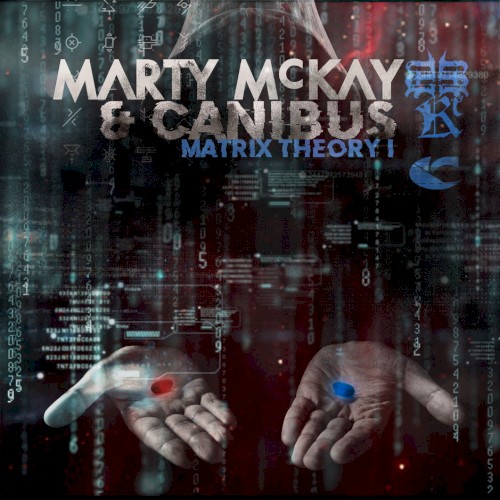 Matrix Theory I