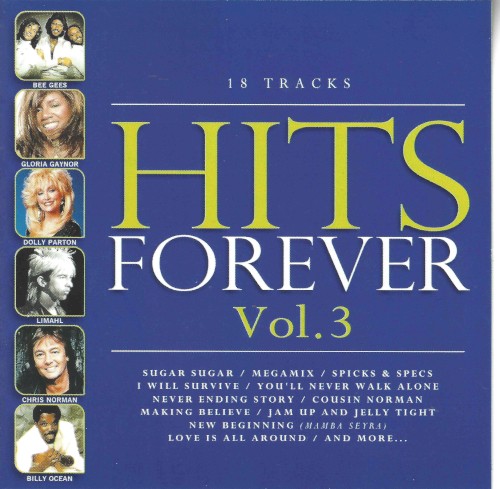 Hits Forever Vol.3