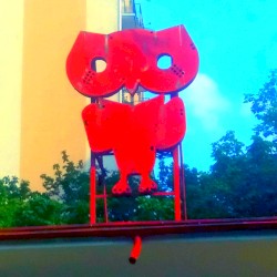 Secrets of the Neon Owl