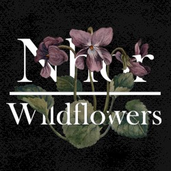 Wildflowers: Winter