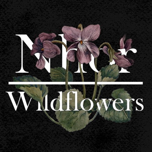 Wildflowers: Winter